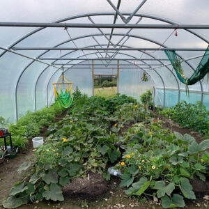 Garden Polytunnels