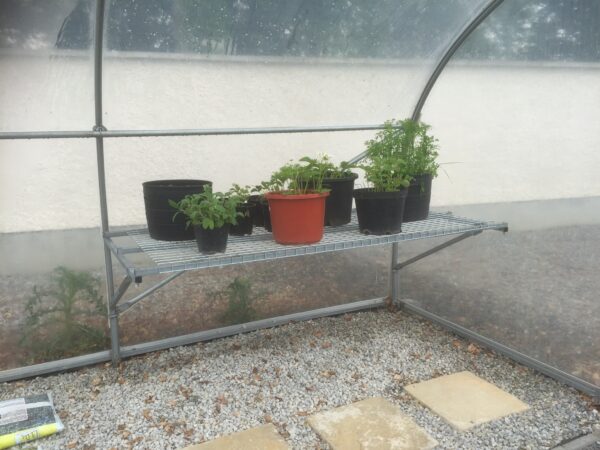 Polydome Welmesh Shelving