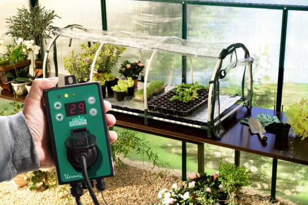 Bio Green Jumbo Propagator