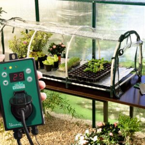 Bio Green Jumbo Propagator