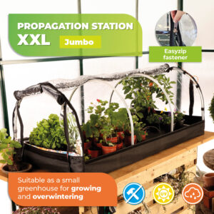 Propagators